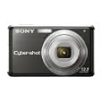 Sony Cybershot DSC S980 12MP Digital Camera with 4x Optical Zoom with Super Steady Shot Image Stabilization (Black) by Sony