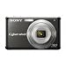 Sony Cybershot DSC-S980 12MP Digital Camera with 4x Optical Zoom with Super Steady Shot Image Stabilization (Black)