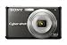 Sony Cybershot DSC-S980 12MP Digital Camera with 4x Optical Zoom with Super Steady Shot Image Stabilization (Black)