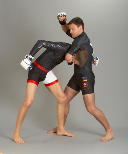 Fight Short 2 Fahnen EU-GER