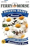 Ferry-Morse 1141 Shasta Daisy Perennial Flower Seeds, Alaska (250 Milligram Packet)