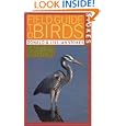 Stokes Field Guide to Birds: Eastern Region (Stokes Field Guides) by Donald Stokes and Lillian Stokes