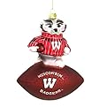 Collegiate Glass Football Mascot Ornaments - 6"