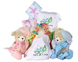 Twin Babies Twice As Nice Baby Gift Basket for Boys or Girls (Deluxe, 2 GIRLS)