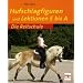 Hufschlagfiguren und Lektionen E bis A (Die Reitschule)