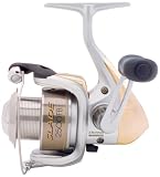 Shimano Slade Spin Reel
