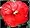 Hibiscus Southern Belle Mix 25 Plants