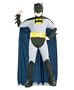 Batman Costume- Child Costume - Large (12-14)
