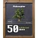 50 Schl�sselideen Philosophie