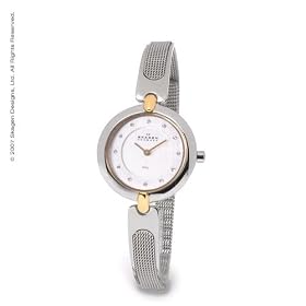 Skagen Ladies Two-Tone Bracelet Watch by Skagen