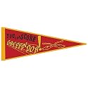 Harry Potter and the Half-Blood Prince Gryffindor Fabric Pennant