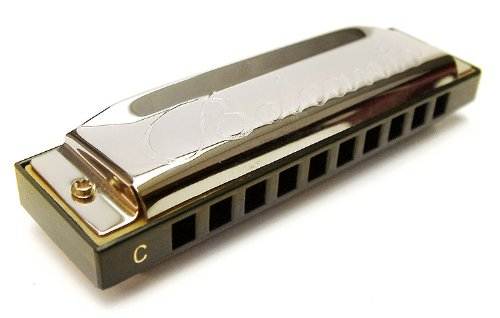 Diatonic Harmonica: 10 hole Diatonic Blues Harp / Harmonica Blues in key of C