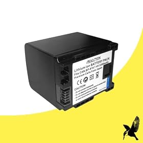 Halcyon 2200 mAH Lithium Ion Replacement Battery for Canon VIXIA HFS30 8.59 MP Flash Memory Digital Camcorder and Canon BP-819
