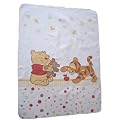 Baby Kuscheldecke Baby Pooh and Friends