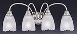 Designers Fountain 4434-CP Florentine Bath / Vanity Light Chrome/Pewter 24 w x 9-1/4 h x 5-1/4 ext.