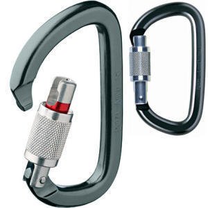 Petzl Am'D Locking Carabiner Screw-Lock/Polished, One Size