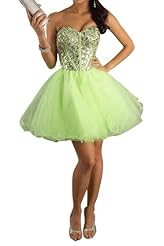 Short Organza   Ball Gown Quinceanera Dress/Party Dress 