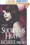 Succubus Heat (Georgina Kincaid, Book 4)