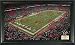 Houston Texans Signature Gridiron