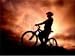 Choosing Your Bicycle-An Activity for Fun and Fitness