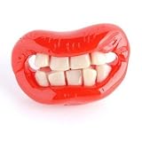 Chomp Baby Pacifier