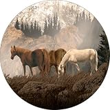 Horse#11 Spare Tire Cover