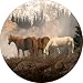 Horse#11 Spare Tire Cover