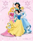 Disney Four Princess Carpet