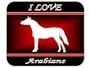 I Love "Arabian" Horses Mouse Pad - Red Design