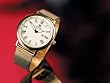 Steinhausen Mesh Band For Dunn Horitzon-Gold