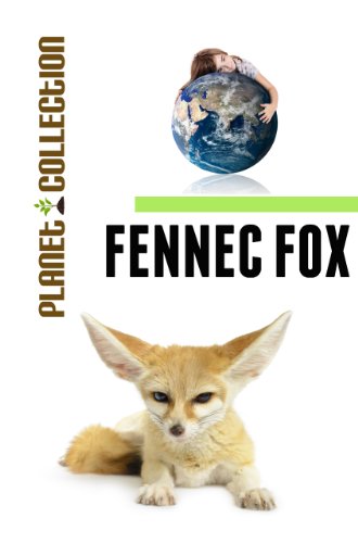 Fennec Fox: Picture Book (Educational Children's Books Collection) - Level 2 (Planet Collection)