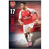 Alexis Sanchez & Arsenal FC Poster