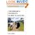The Research Student's Guide to Success