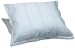 Kitchen & Housewares : Pinzon 300-Thread Count Egyptian Percale Euro Sham