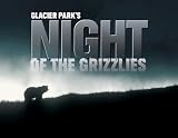 Glacier Park`s Night of the Grizzlies