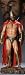 300 King Leonidas Premium Format Figure