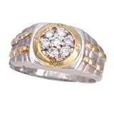 14K Men's 2-Tone .40 CTW Diamond Ring