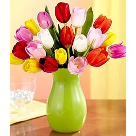 Tulips - 20 Assorted Tulips Flowers with Vase