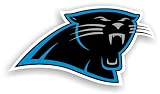 NFL Carolina Panthers 12-Inch Vinyl Logo Magnet