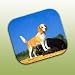 beagle34 - Beagle Full Body Mouse Pad