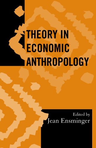 Theory in Economic Anthropology (Society for Economic Anthropology Monograph Series)