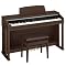 The Best Casio Digital Pianos - Privia & Celviano