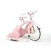 Airflow Sky Princess Tricycle