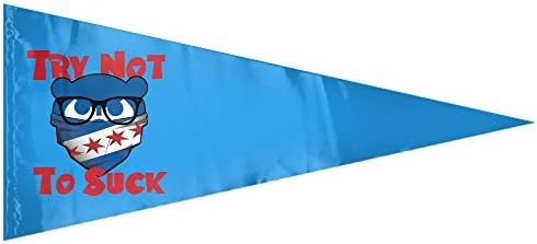 Vicentee Try Not To Suck Place Demonstration Flag One Size