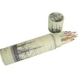 Rossi Italian Set of 12 Colored Pencils in Decorated Case