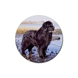 Newfoundland Rubber Round Coaster (4 pack)