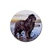 Newfoundland Rubber Round Coaster (4 pack)
