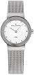 Skagen Classic Mesh Ladies Watch 358SSSD