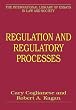 Regulation and Regulatory Processes (The International Library of Essays in Law and Society)