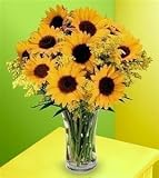 Glorious Sunflower Bouquet - Fresh Flowers